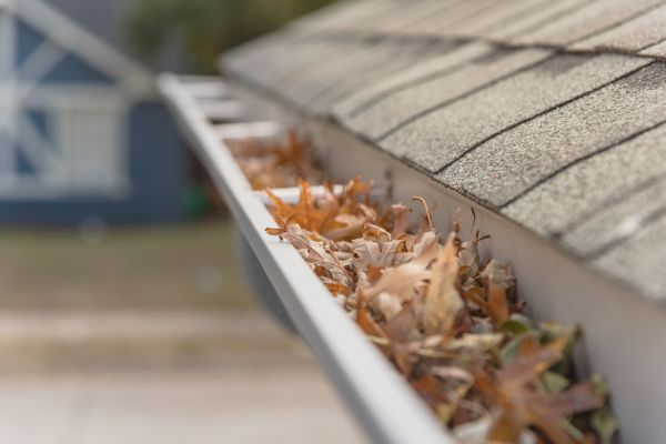 Leaf Barrier Installation in Raeford